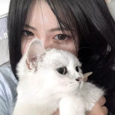 寒冬生存手游下载