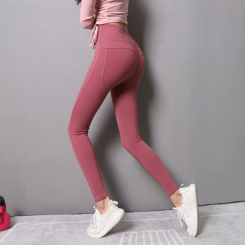 天天数码兽公益服下载