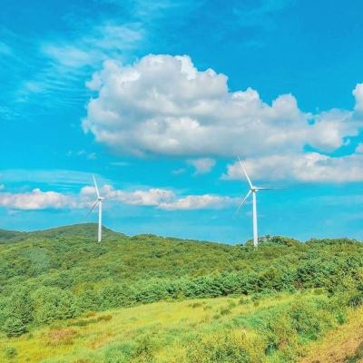 魔都首富手游下载