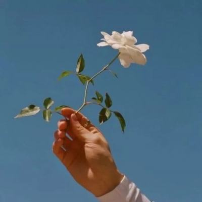 蓝月无双官方